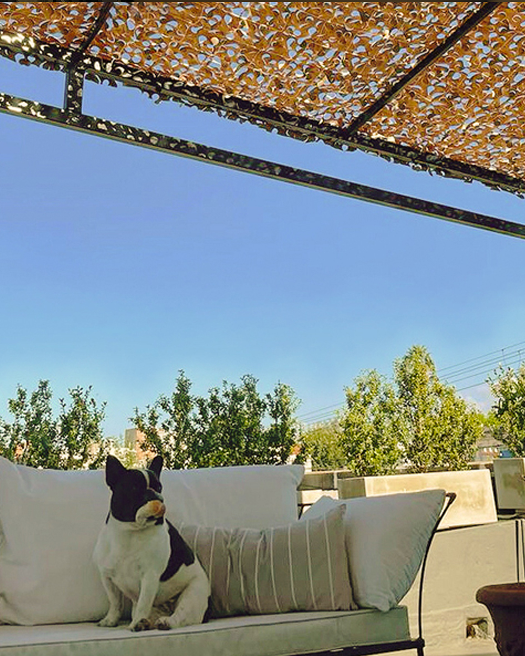 Sombra Overarg en uso exterior real